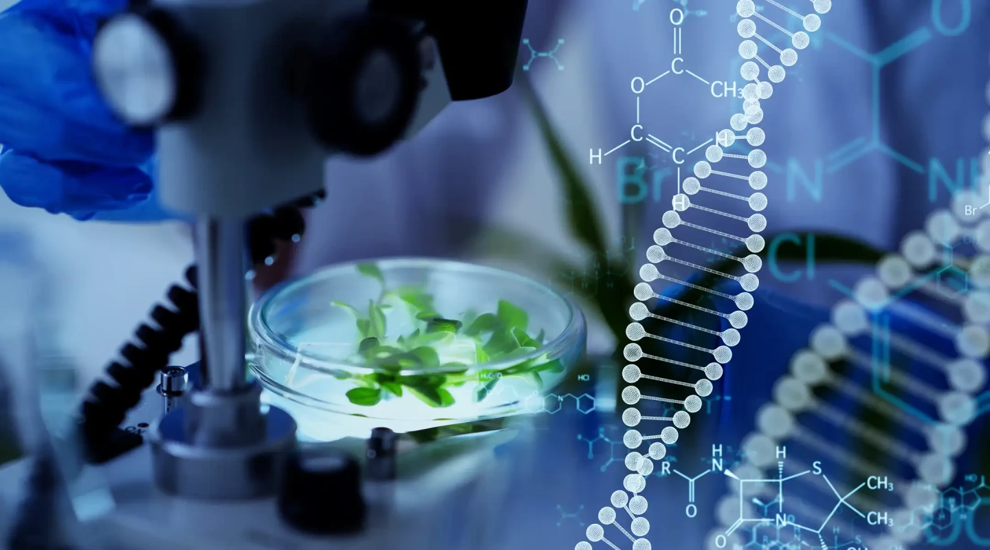 Un nuevo grupo con ADN farmacéutico y visión global